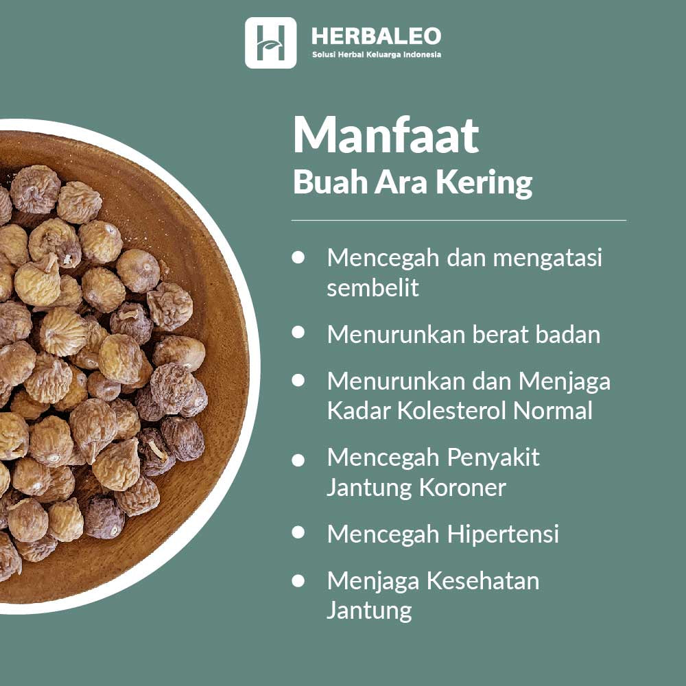 Herbaleo Buah Ara Kering 5gram Tin Dried Figs