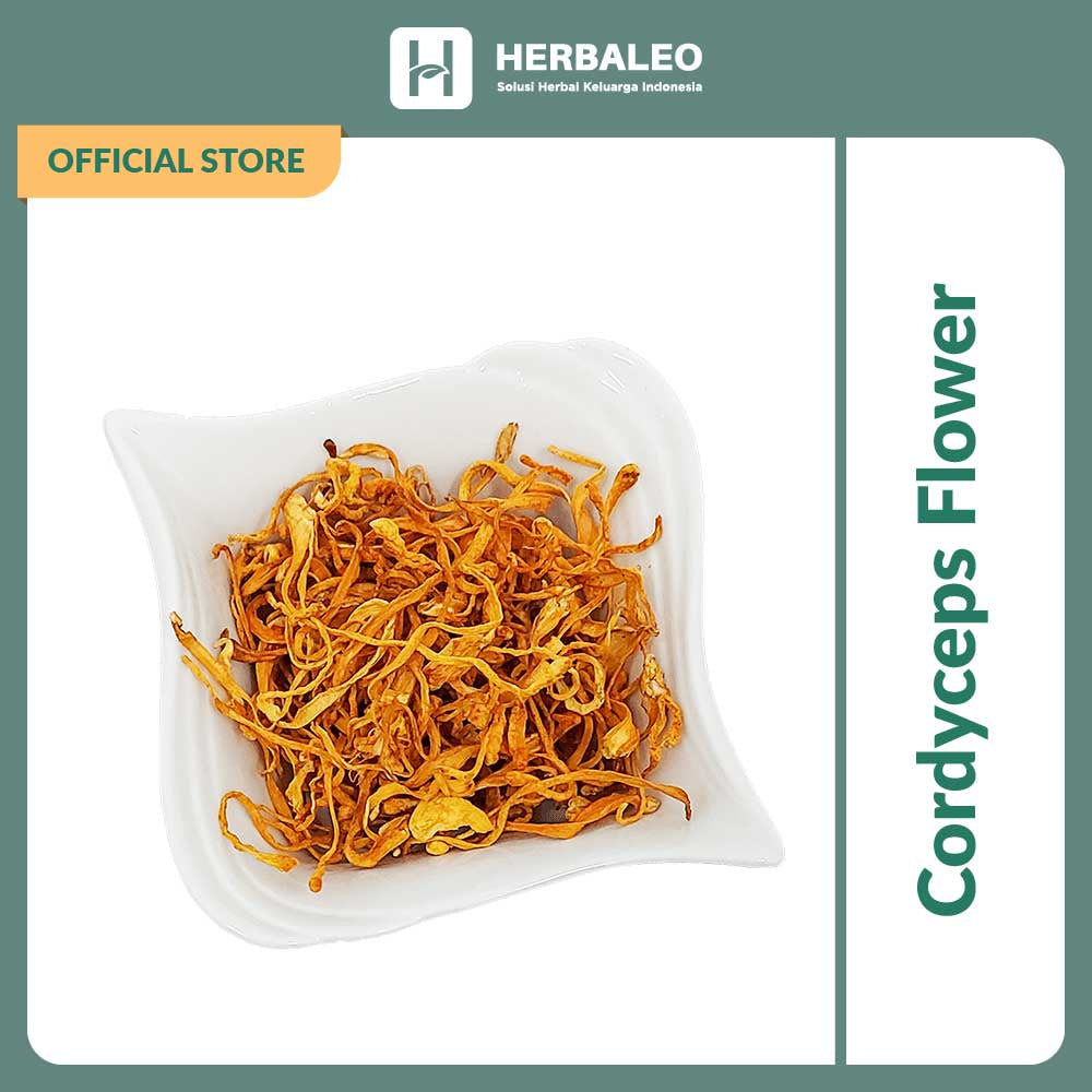 Herbaleo - Cordyceps Flower / Jamur Bunga Cordyceps / Cong Cao Hua 5 gram