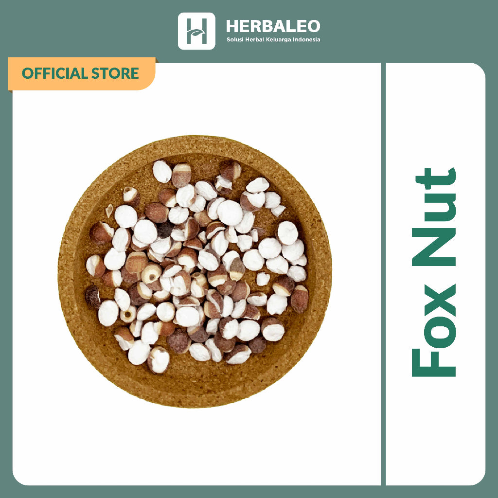 Herbaleo - Qian Shi Fox Nut / Kiansep Euryale Seed / 5 gram