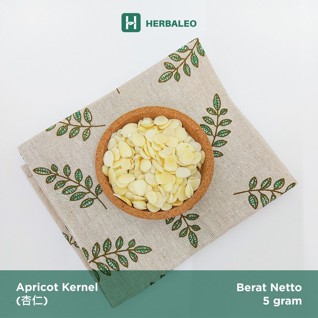 Herbaleo - Apricot Kernel / Xing Ren  / Biji Apricot / Nan Hem ( 5 gram )