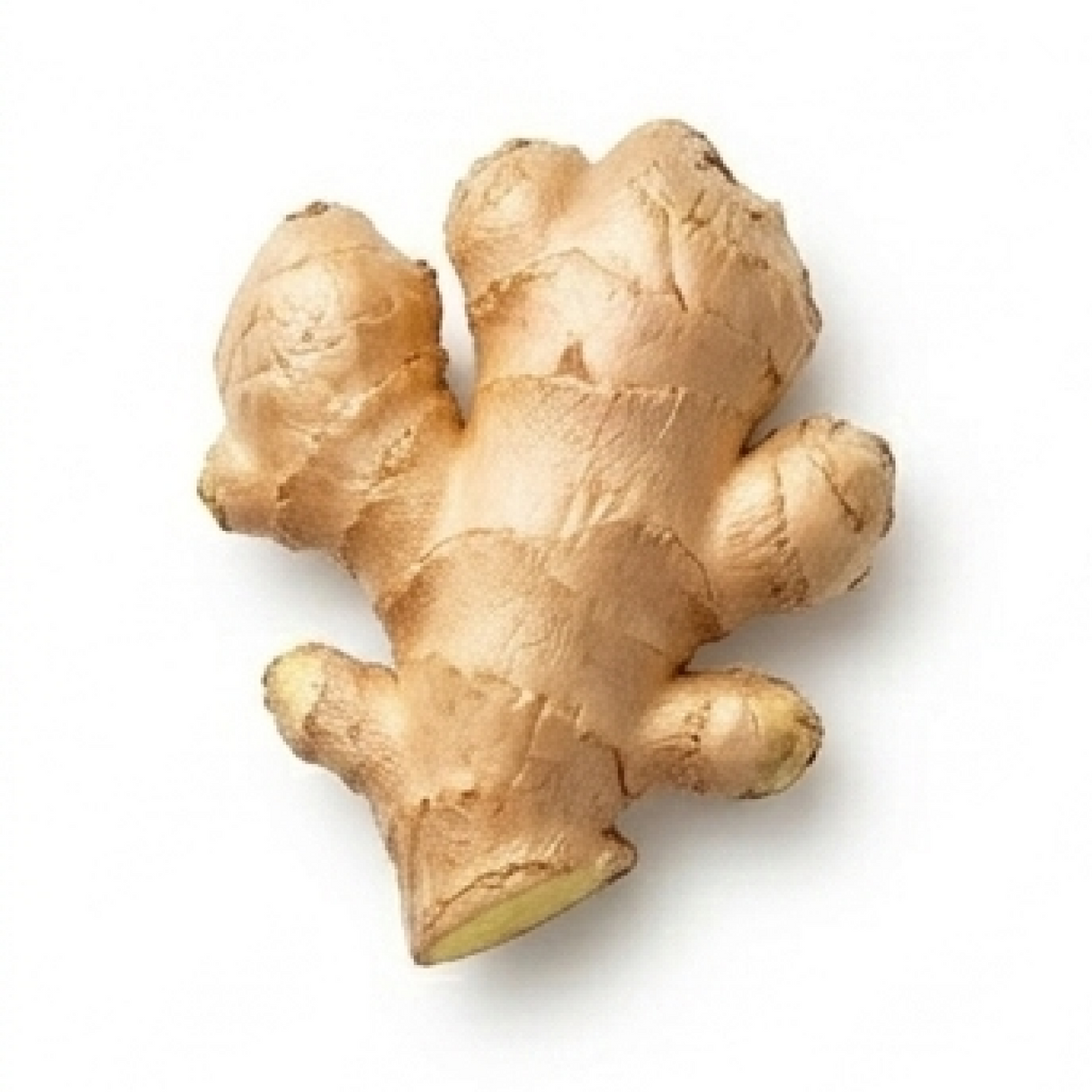 Golden Root Ginger Elixir Blend