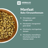Herbaleo - Baby Chrysanthemum  / ci hua / khiok hua ( 5 gram )
