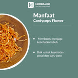 Herbaleo - Cordyceps Flower / Jamur Bunga Cordyceps / Cong Cao Hua 5 gram