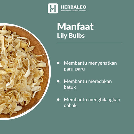 Herbaleo - Lily Bulbs / Bai He 5gram