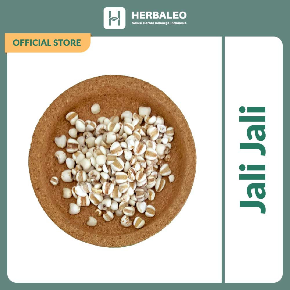 Herbaleo - Biji Jali Jali / Coix Seed / Yi Yi Ren 5gram