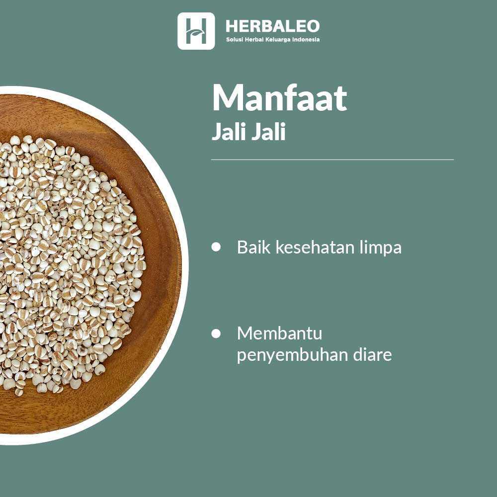 Herbaleo - Biji Jali Jali / Coix Seed / Yi Yi Ren 5gram