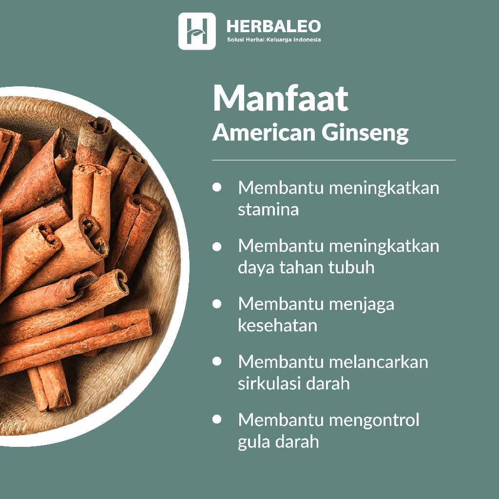 Herbaleo - Kayu Manis / Cinnamon / Rou Gui  / kui pi ( 5 gram )