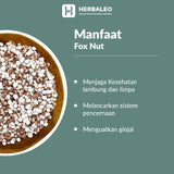 Herbaleo - Qian Shi Fox Nut /  Kiansep Euryale Seed / 5 gram