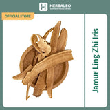Herbaleo -  Jamur Ling Zhi Iris /  Ling Ce Ganoderma Mushroom ( 5gram )