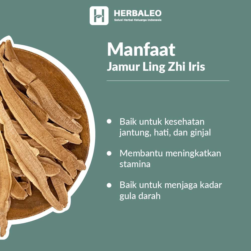 Herbaleo -  Jamur Ling Zhi Iris /  Ling Ce Ganoderma Mushroom ( 5gram )