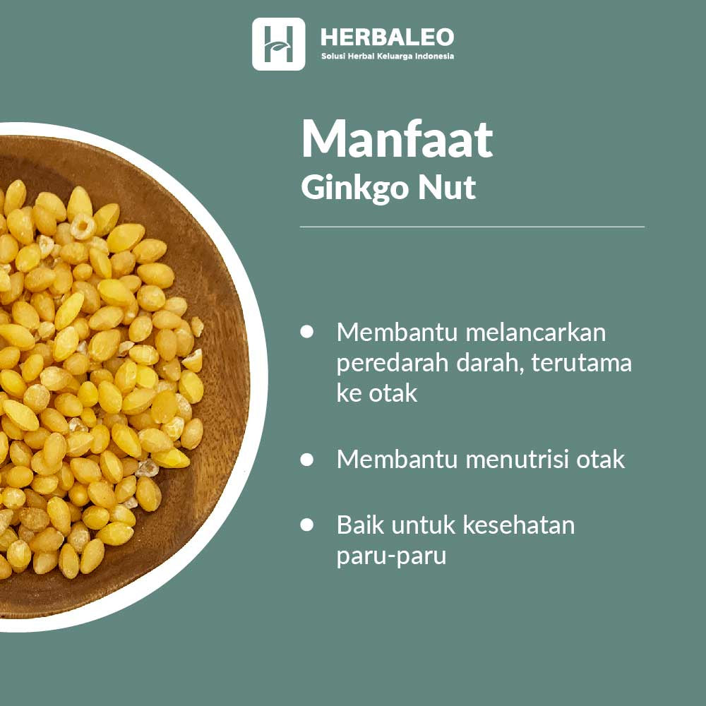 Herbaleo -  Ginkgo Nut / Biloba Pak Kuo ( 5gram )