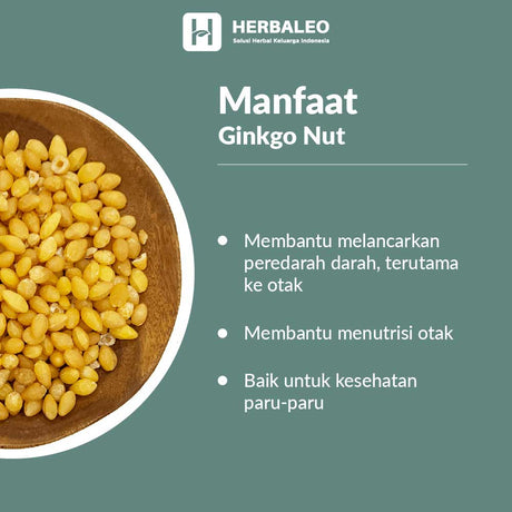 Herbaleo -  Ginkgo Nut / Biloba Pak Kuo ( 5gram )
