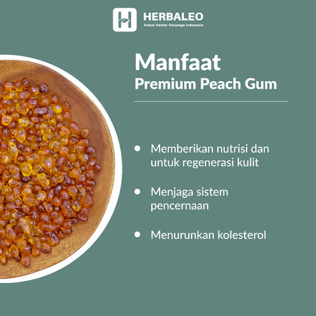 Herbaleo -  Premium Peach Gum /  Tao Jiao / Tao Kao ( 5 gram )
